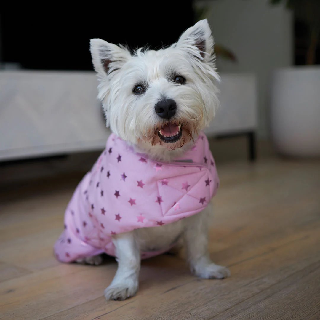 Kazoo Pink Star Soft Jacket Snuggie