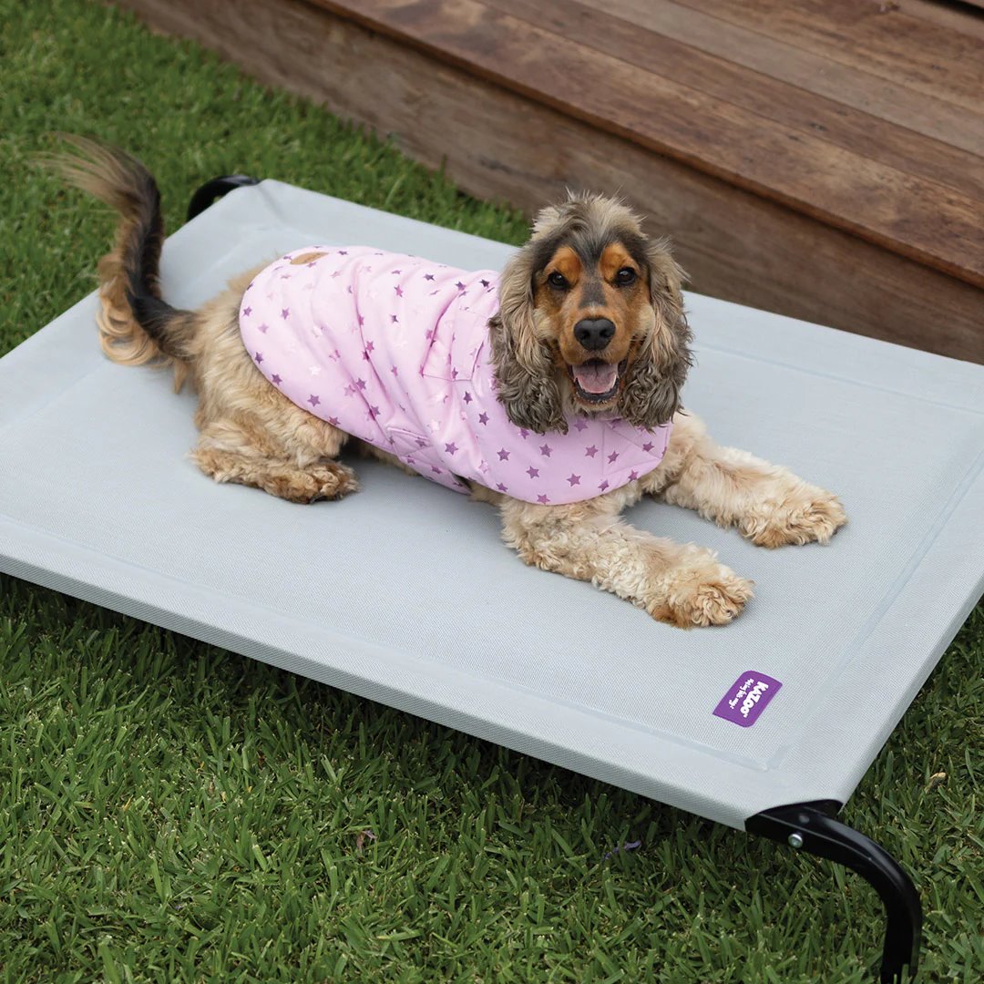 Kazoo Pink Star Soft Jacket Snuggie