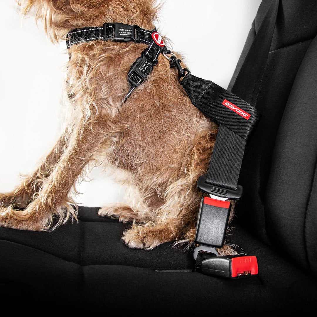 EzyDog Car Restraint