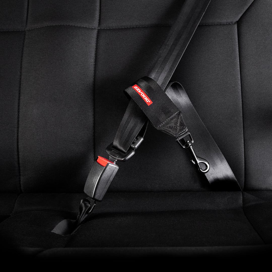 EzyDog Car Restraint
