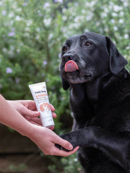 Field Day Soothe & Smooth Nose Paw & Skin Balm 50g