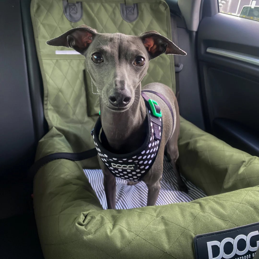 DOOG Car Seat Oliver Green