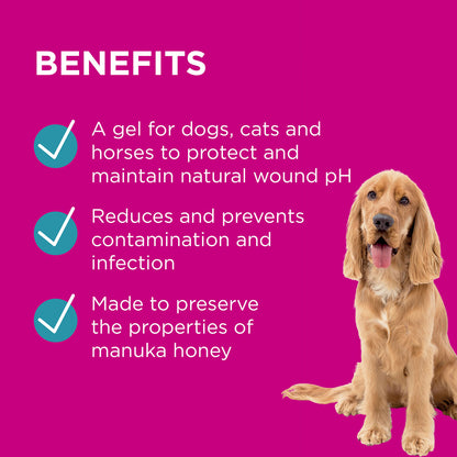 PAW Manuka Wound Gel