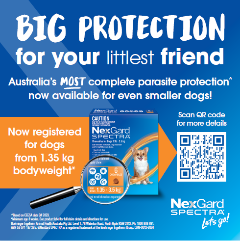 NexGard SPECTRA for Dogs 1.35 - 3.5kg ORANGE