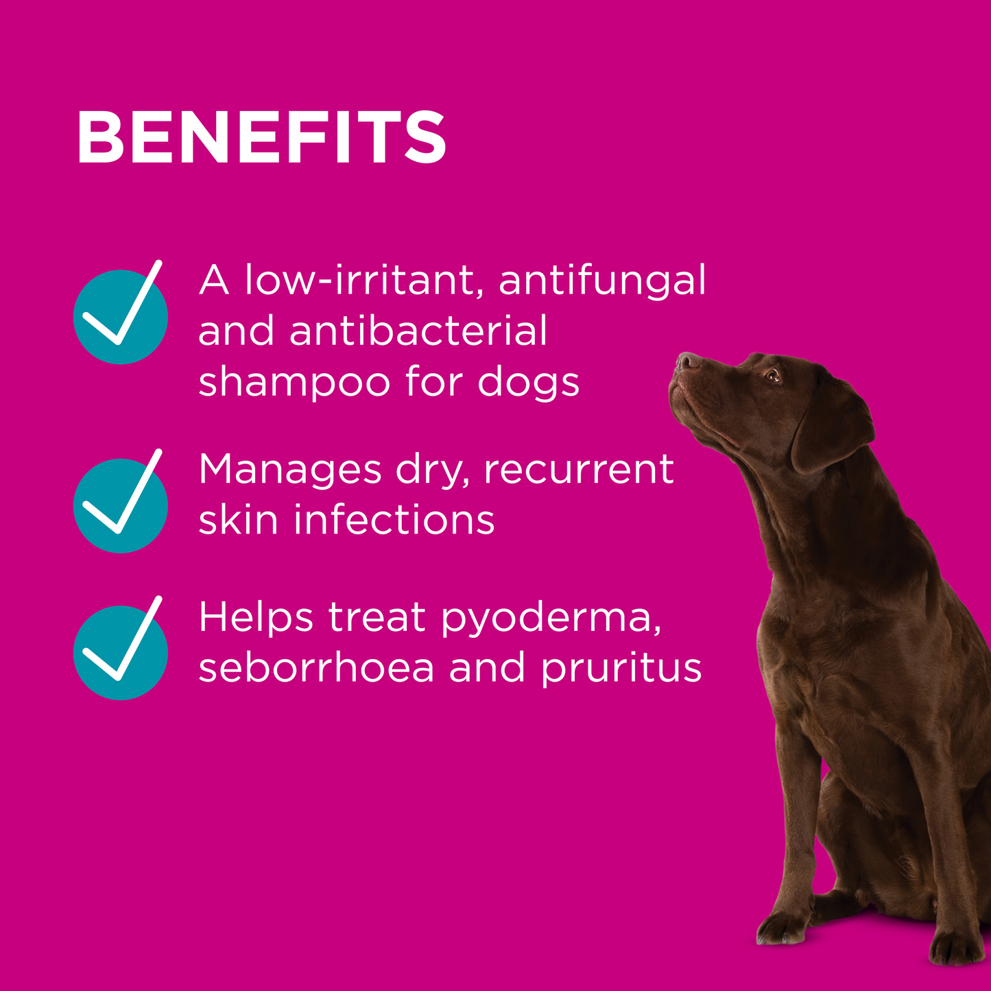 PAW MediDerm Gentle Medicated Shampoo