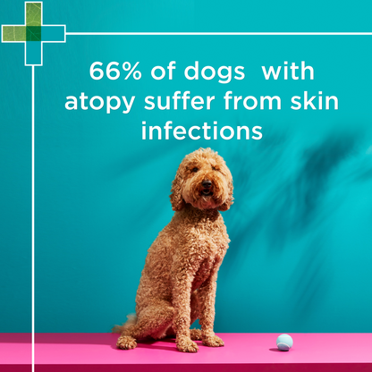 PAW MediDerm Gentle Medicated Shampoo