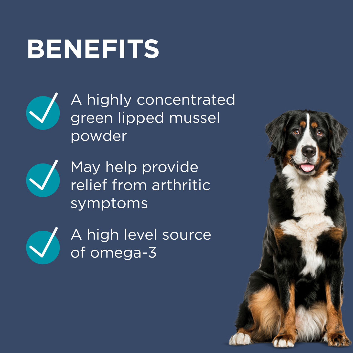PAW Osteosupport Joint Care Powder For Dogs