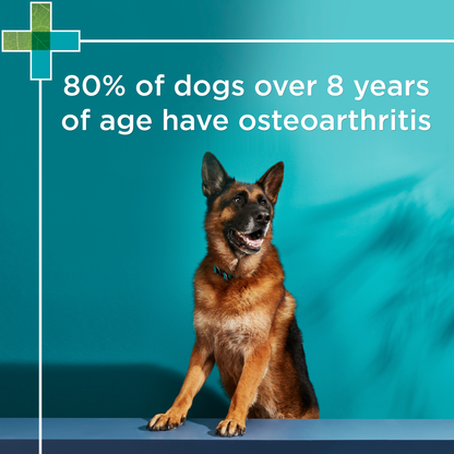 PAW Osteosupport Joint Care Powder For Dogs