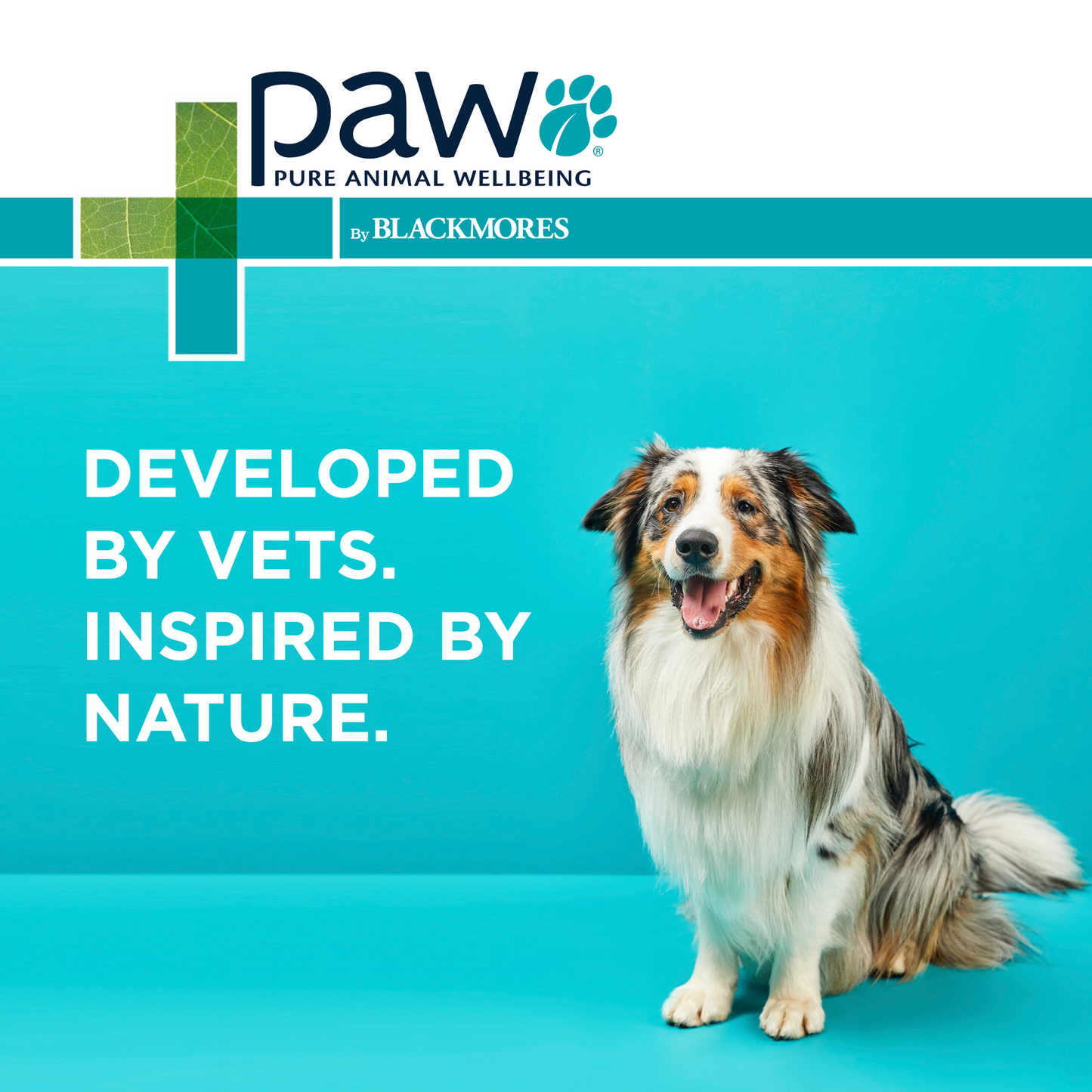 PAW Osteosupport Joint Care Powder For Dogs