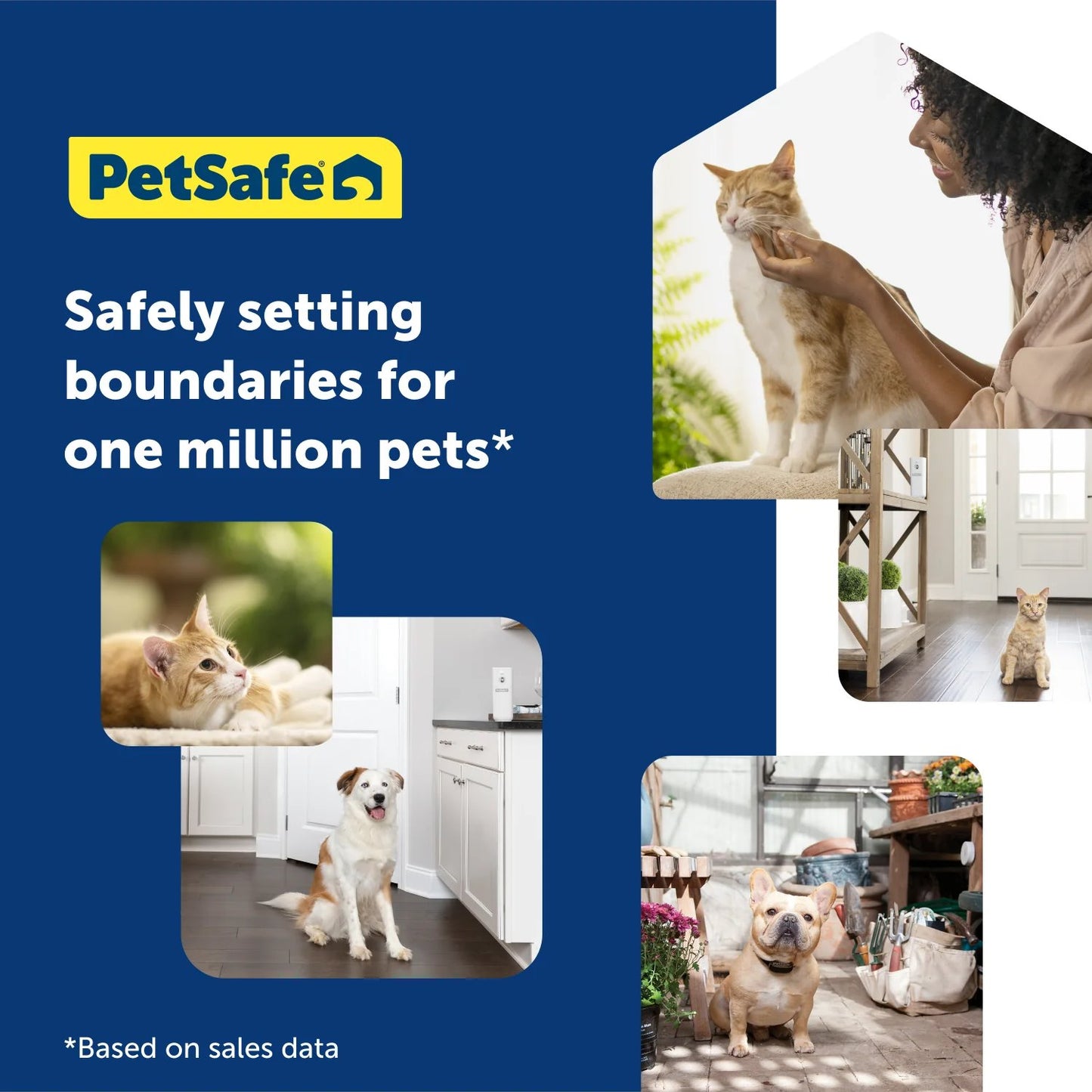 PetSafe SSSCAT Automatic Spray Pet Deterrent