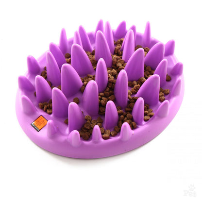 Northmate Catch Interactive Slow Feeder