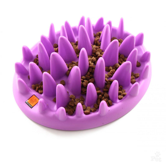 Northmate Catch Interactive Slow Feeder