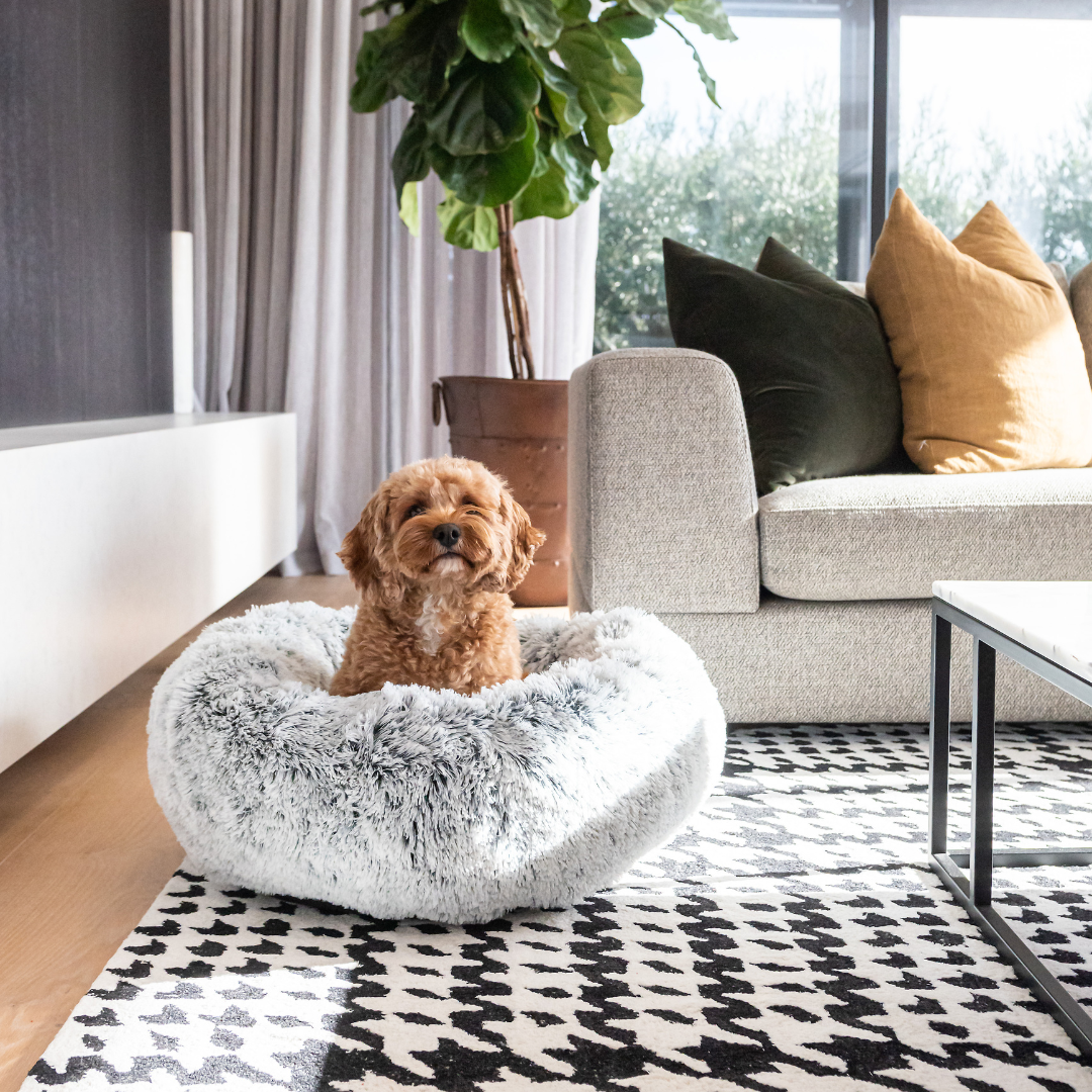 Superior Pet Goods Curl Up Cloud Calming Dog Bed Dove Grey