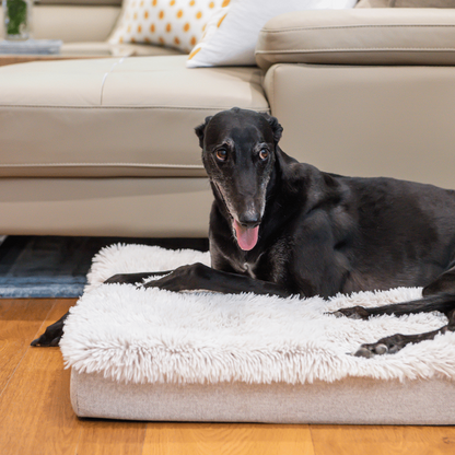 Superior Pet Goods Ortho Calming Dog Mat Water-Resistant Aspen Faux Fur