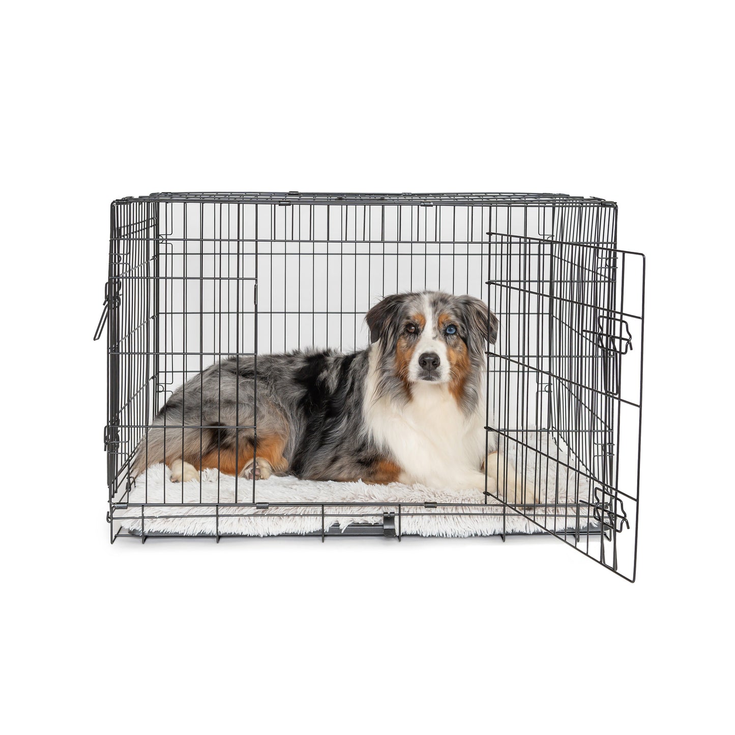 Superior Pet Goods Dog Training Crate Dual Door