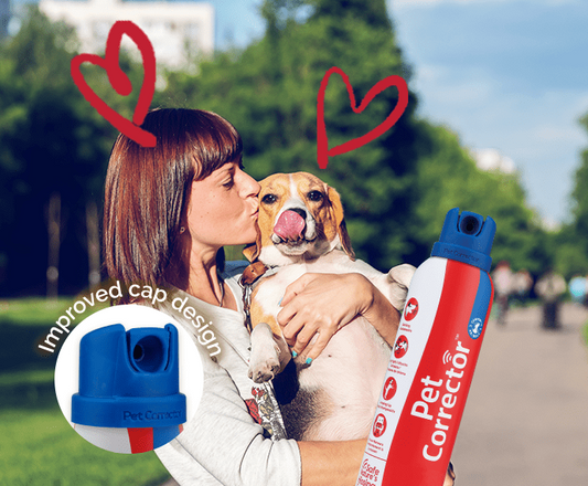 Company of Animals Pet Corrector 45g