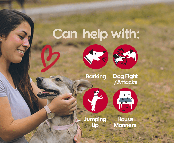 Company of Animals Pet Corrector 45g