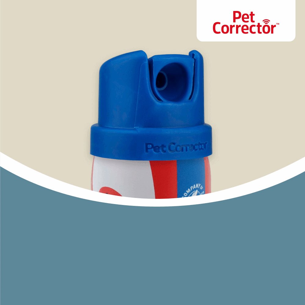 Company of Animals Pet Corrector 45g
