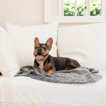 Superior Pet Goods Calming Pet Blanket Water Resistant Artic Faux Fur