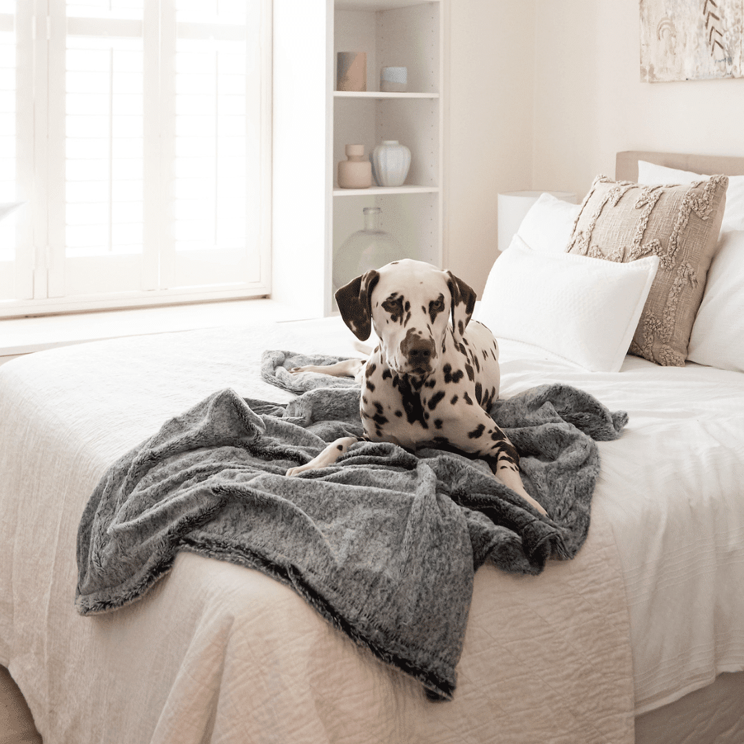 Superior Pet Goods Calming Pet Blanket Water Resistant Artic Faux Fur