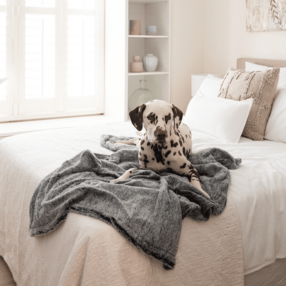 Superior Pet Goods Calming Pet Blanket Water Resistant Artic Faux Fur