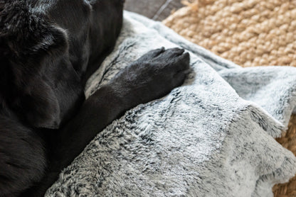 Superior Pet Goods Calming Pet Blanket Water Resistant Artic Faux Fur
