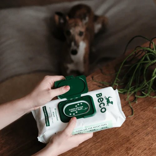 Beco Bamboo Dog Wipes Unscented 80pk