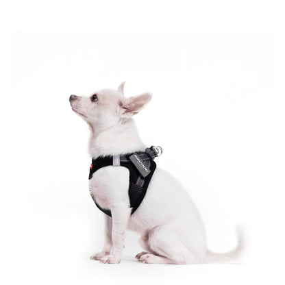 EzyDog FormFit Mesh Harness Black