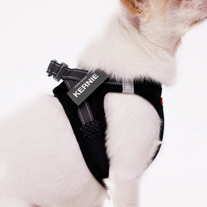 EzyDog FormFit Mesh Harness Black
