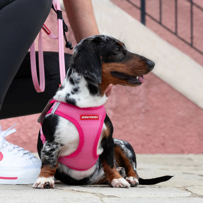 EzyDog FormFit Mesh Harness Pink