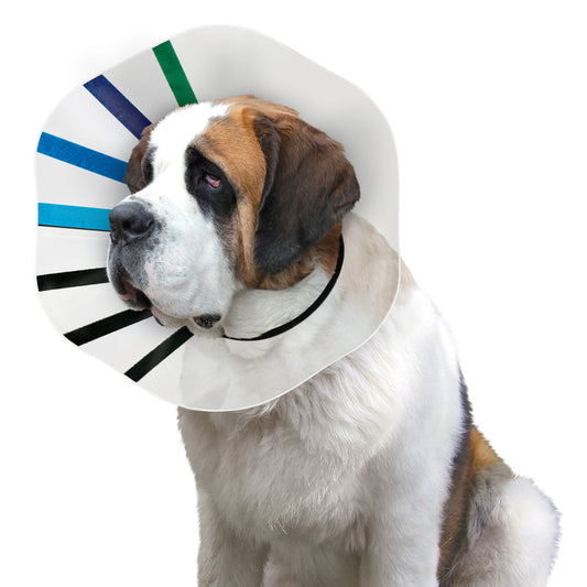 Kong Ez Clear Collar