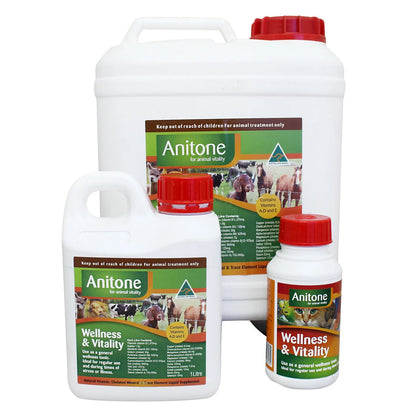 Anitone Liquid Feed Supplement