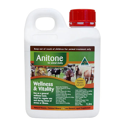Anitone Liquid Feed Supplement