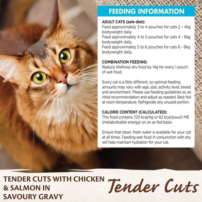 Wellness Core Tender Cuts for Cats Chicken & Salmon in Savoury Gravy