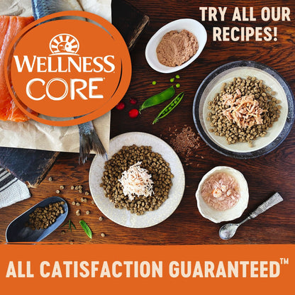 Wellness Core Tender Cuts for Cats Chicken & Salmon in Savoury Gravy