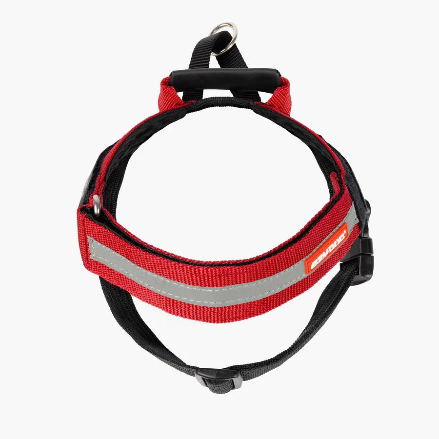 EzyDog Express Harness Red