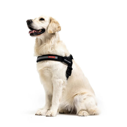 EzyDog Express Harness Red