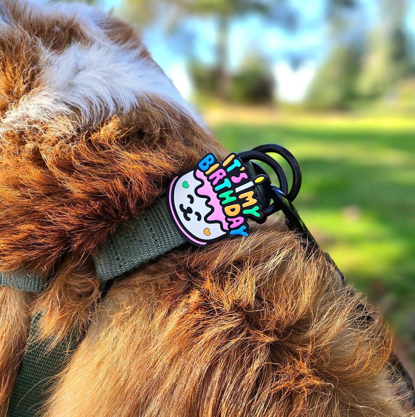 Jiby Dog Crew Dog Jibys It's My Birthday Charm