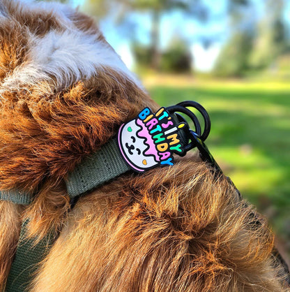 Jiby Dog Crew Dog Jibys It's My Birthday Charm