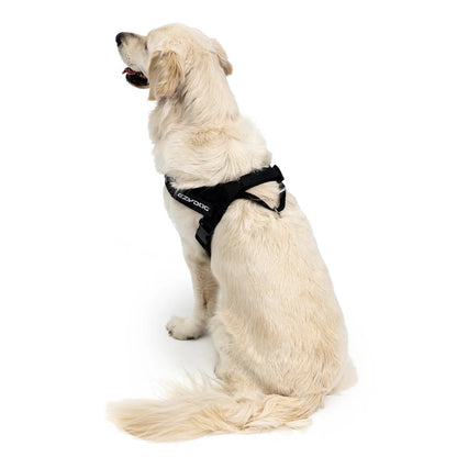 EzyDog Express Harness Pink