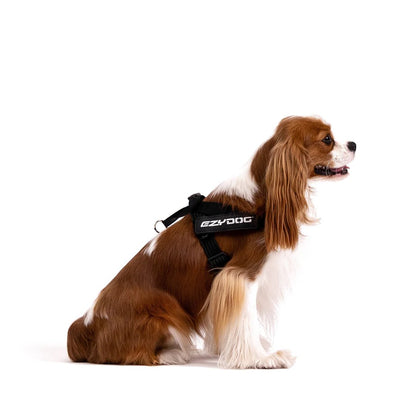EzyDog Express Harness Pink