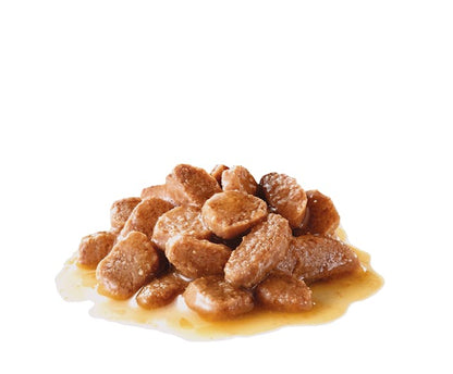 Royal Canin Appetite Control Wet Cat Food Pouches in Gravy