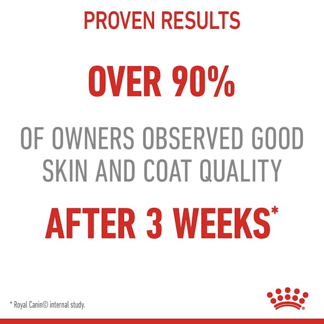 Royal Canin Hair & Skin Care Cat Wet Food Pouches in Loaf