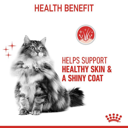 Royal Canin Hair & Skin Care Cat Wet Food Pouches in Loaf