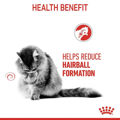 Royal Canin Hairball Care Cat Wet Food Pouches in Jelly