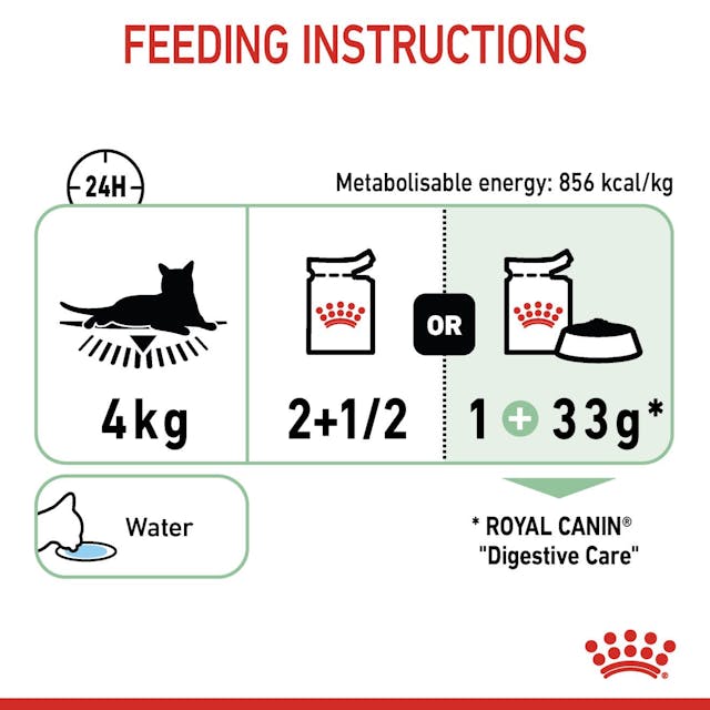 Royal Canin Digestive Care Cat Wet Food Pouches in Loaf