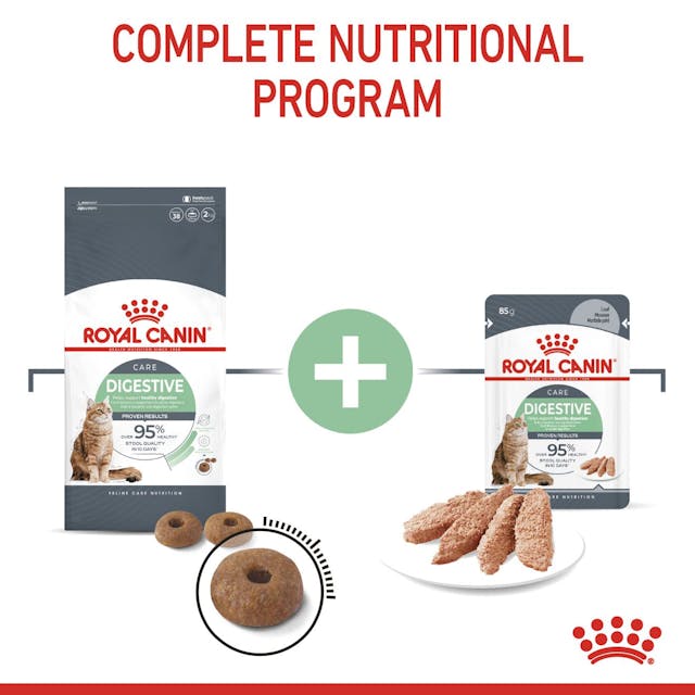 Royal Canin Digestive Care Cat Wet Food Pouches in Loaf