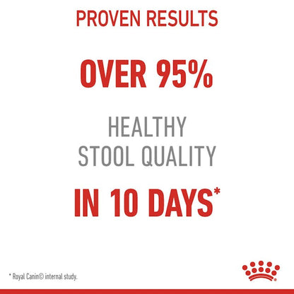 Royal Canin Digestive Care Cat Wet Food Pouches in Loaf