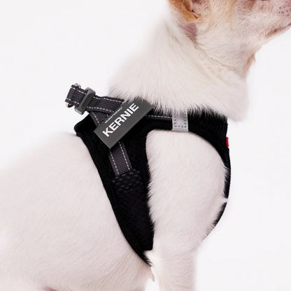 EzyDog FormFit Mesh Harness Green
