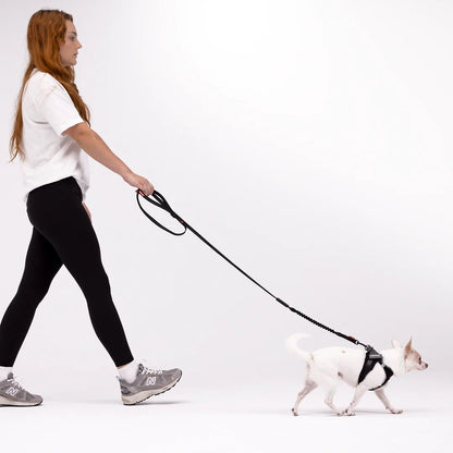 EzyDog FormFit Mesh Harness Green